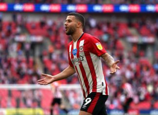 «Άγριες μέλισσες» στα γήπεδα της Πρέμιερ Λιγκ!