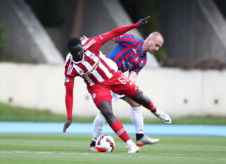 Ο Νταμπό και η αποθέωση